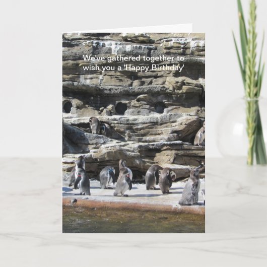 Verzamelen van pinguïns kaart (Voorkant)