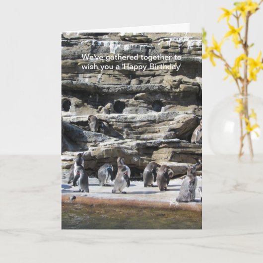 Verzamelen van pinguïns kaart (Gele Bloem)