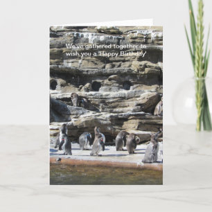 Verzamelen van pinguïns kaart