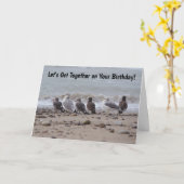 Verzamelen Zee meeuwenvogels komen samen Verjaarda Kaart (Gele Bloem)
