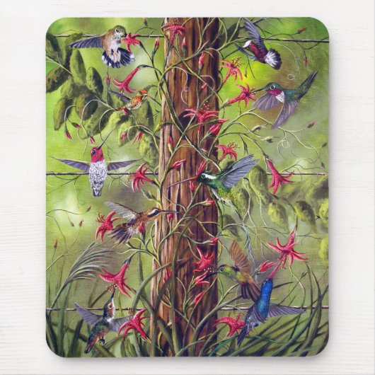 VERZAMELING BIJ DE FENCEPOST MUISMAT (Voorkant)