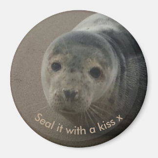 Verzegel het met een kiss schattige baby grey seal magneet
