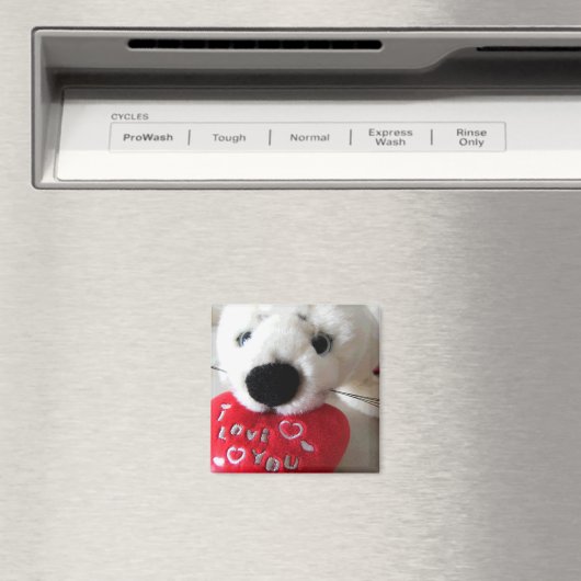 Verzegeld met liefde magneet (Insitu (Vaatwasser))