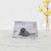 Verzegeling - Animal Color Photo Print Notitiekaar Kaart (Gele Bloem)