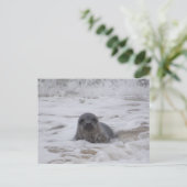 Verzegeling - Dierlijke Kleur Foto Print Briefkaar Briefkaart (Staand voorkant)