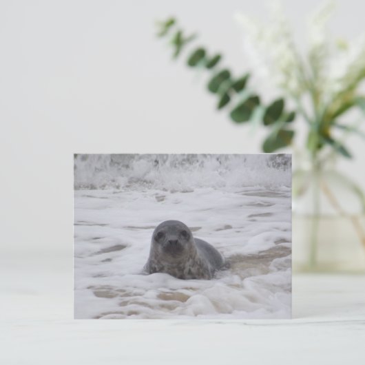 Verzegeling - Dierlijke Kleur Foto Print Briefkaar Briefkaart (Staand voorkant)