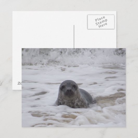 Verzegeling - Dierlijke Kleur Foto Print Briefkaar Briefkaart (Voorkant / Achterkant)