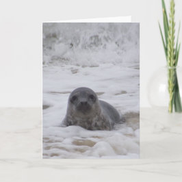 Verzegeling - Dierlijke Kleur Foto Print Wenskaart Kaart