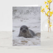 Verzegeling - Dierlijke Kleur Foto Print Wenskaart Kaart (Gele Bloem)