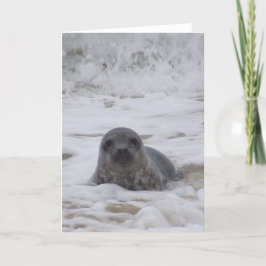 Verzegeling - Dierlijke Kleur Foto Print Wenskaart Kaart