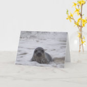 Verzegeling - Dierlijke Kleur Foto Print Wenskaart Kaart (Gele Bloem)