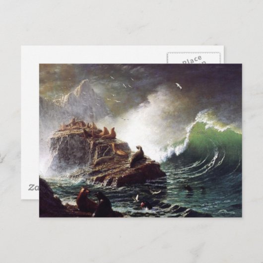 Verzegeling op de Rocks-, Farallon- en Bierstadt-e Briefkaart (Voorkant / Achterkant)