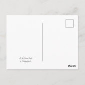 Verzegelingen in de schemering briefkaart (Achterkant)