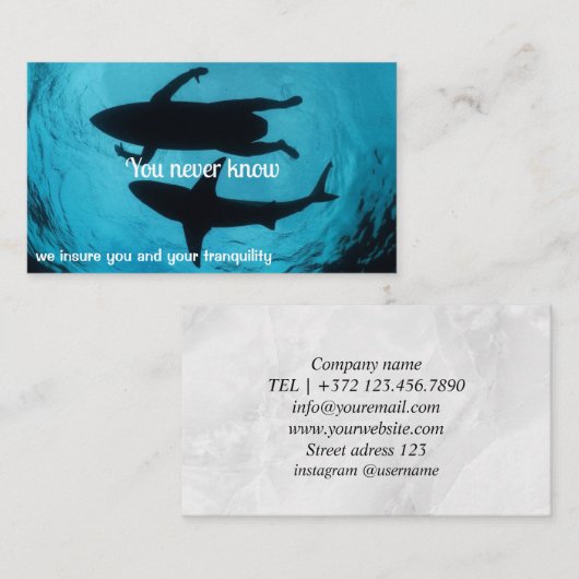 Verzekeringsadviseur Visitekaartje (Voorkant / Achterkant)