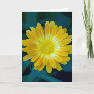 Verzend Bloem naar uw vrienden die duurt Kaart