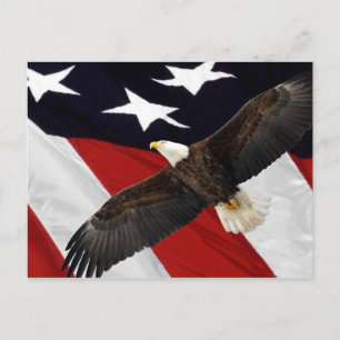 Verzend een Briefkaart naar het Congres