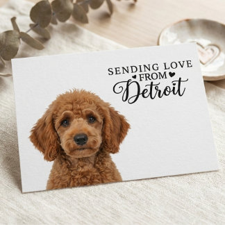 Verzend Liefde Vanuit Detroit Ansichtkaart Briefkaart