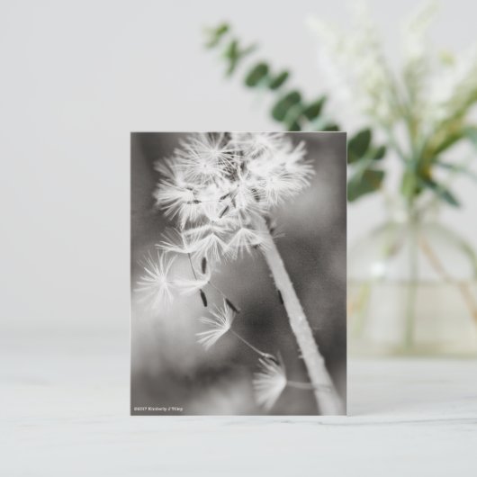 Verzenden uit briefkaart (Staand voorkant)