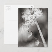 Verzenden uit briefkaart (Voorkant / Achterkant)