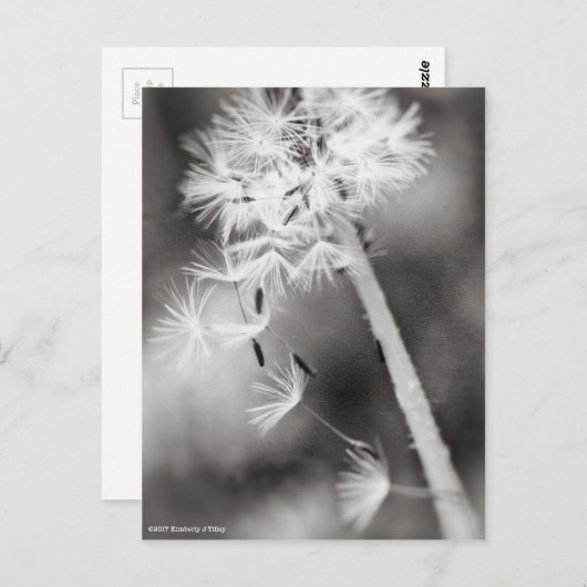 Verzenden uit briefkaart (Voorkant / Achterkant)