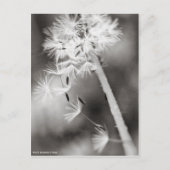 Verzenden uit briefkaart (Voorkant)