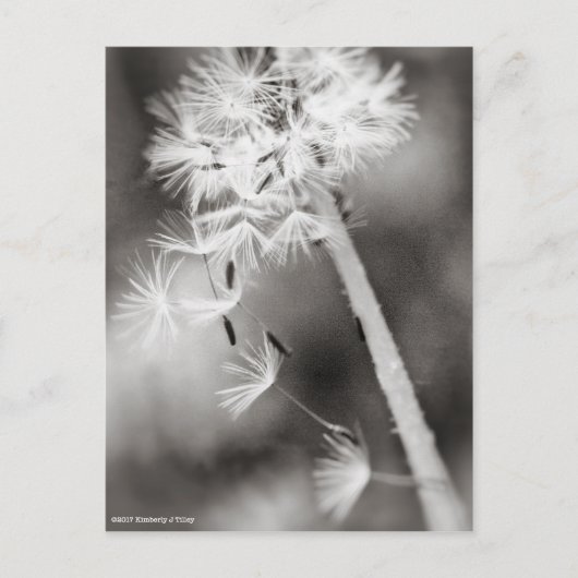 Verzenden uit briefkaart (Voorkant)