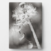 Verzenden uit fotoplaat (voorkant)