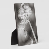 Verzenden uit fotoplaat (Zijkant)