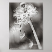 Verzenden uit poster (Voorkant)