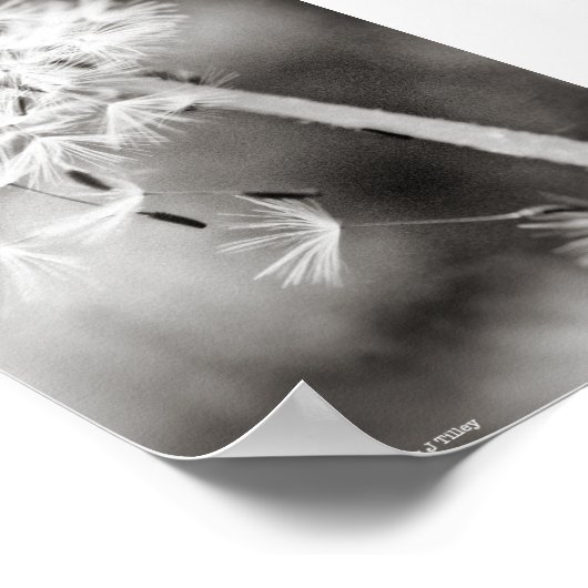 Verzenden uit poster (Hoek)