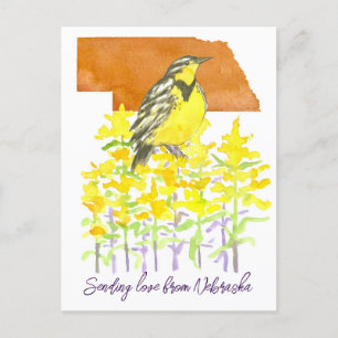 Verzenden van Liefde Nebraska Meadowlark Goldenrod Briefkaart