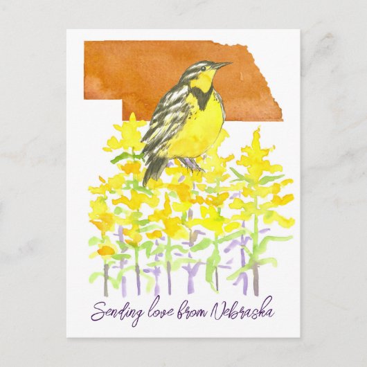 Verzenden van Liefde Nebraska Meadowlark Goldenrod Briefkaart (Voorkant)