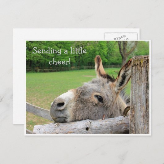 "Verzendende Ker" Ongelukkig Donkey-Briefkaart Briefkaart (Voorkant / Achterkant)