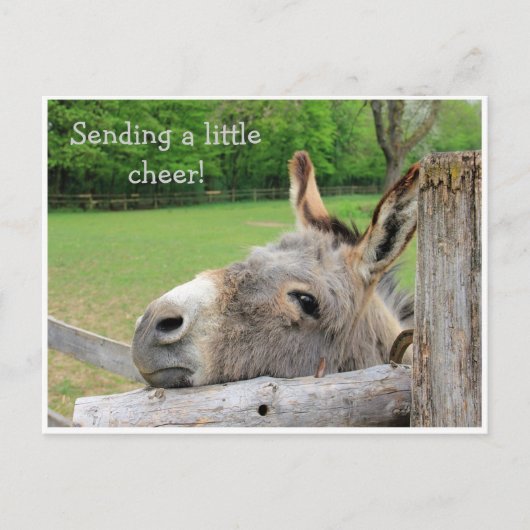 "Verzendende Ker" Ongelukkig Donkey-Briefkaart Briefkaart (Voorkant)