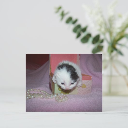 Verzending per post briefkaart (Staand voorkant)