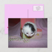 Verzending per post briefkaart (Voorkant / Achterkant)