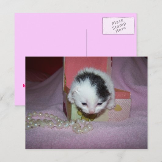 Verzending per post briefkaart (Voorkant / Achterkant)