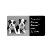 Verzendlabel Boston Terrier Puppies Etiket (Voorkant)
