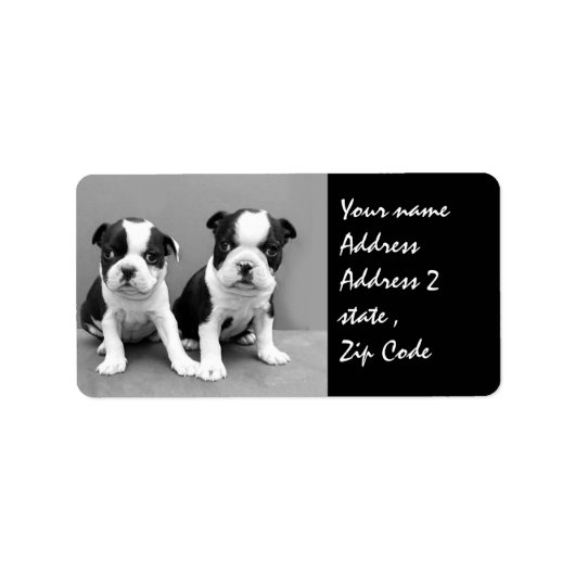 Verzendlabel Boston Terrier Puppies Etiket (Voorkant)