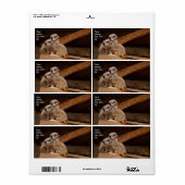 Verzendlabel Meerkat (Full Sheet)