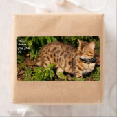 Verzendlabel Savannah Cat (Insitu)