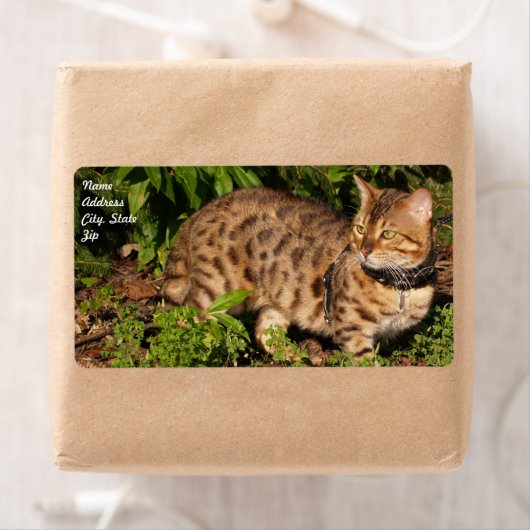 Verzendlabel Savannah Cat (Insitu)