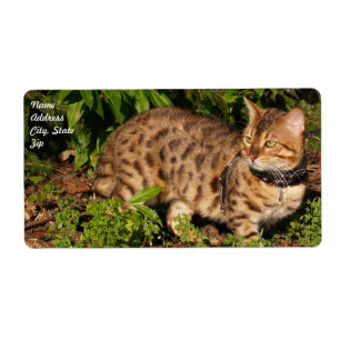 Verzendlabel Savannah Cat