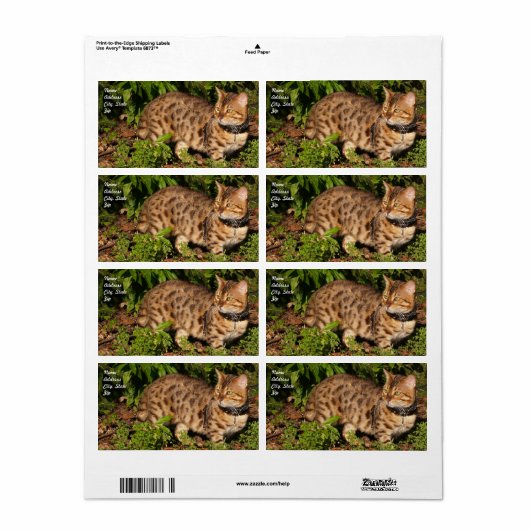 Verzendlabel Savannah Cat (Full Sheet)