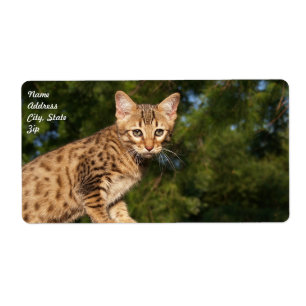 Verzendlabel Savannah Cat