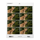 Verzendlabel Savannah Cat (Full Sheet)