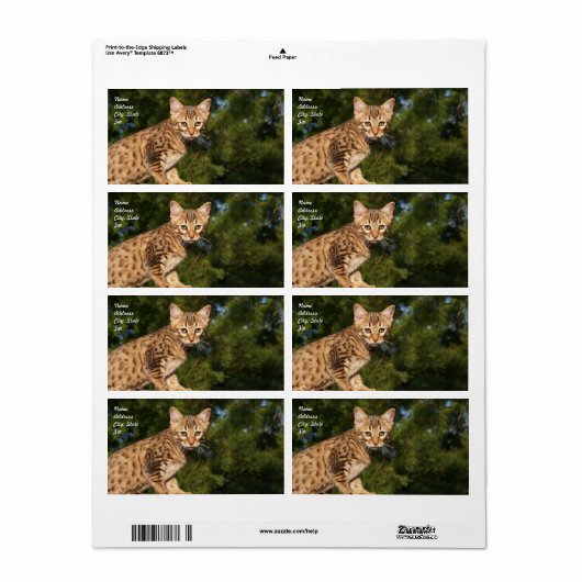 Verzendlabel Savannah Cat (Full Sheet)