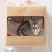Verzendlabel Savannah Cat (Insitu)