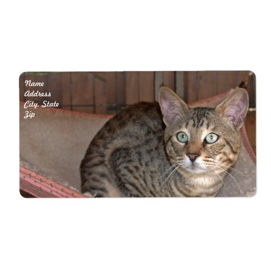 Verzendlabel Savannah Cat (Voorkant)