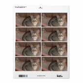 Verzendlabel Savannah Cat (Full Sheet)